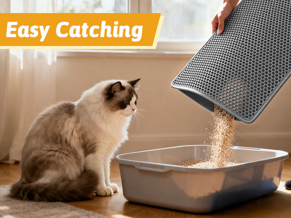 litter box mat