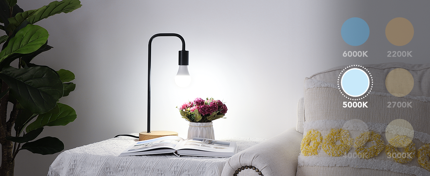 5000K Daylight White A19 Light Bulbs