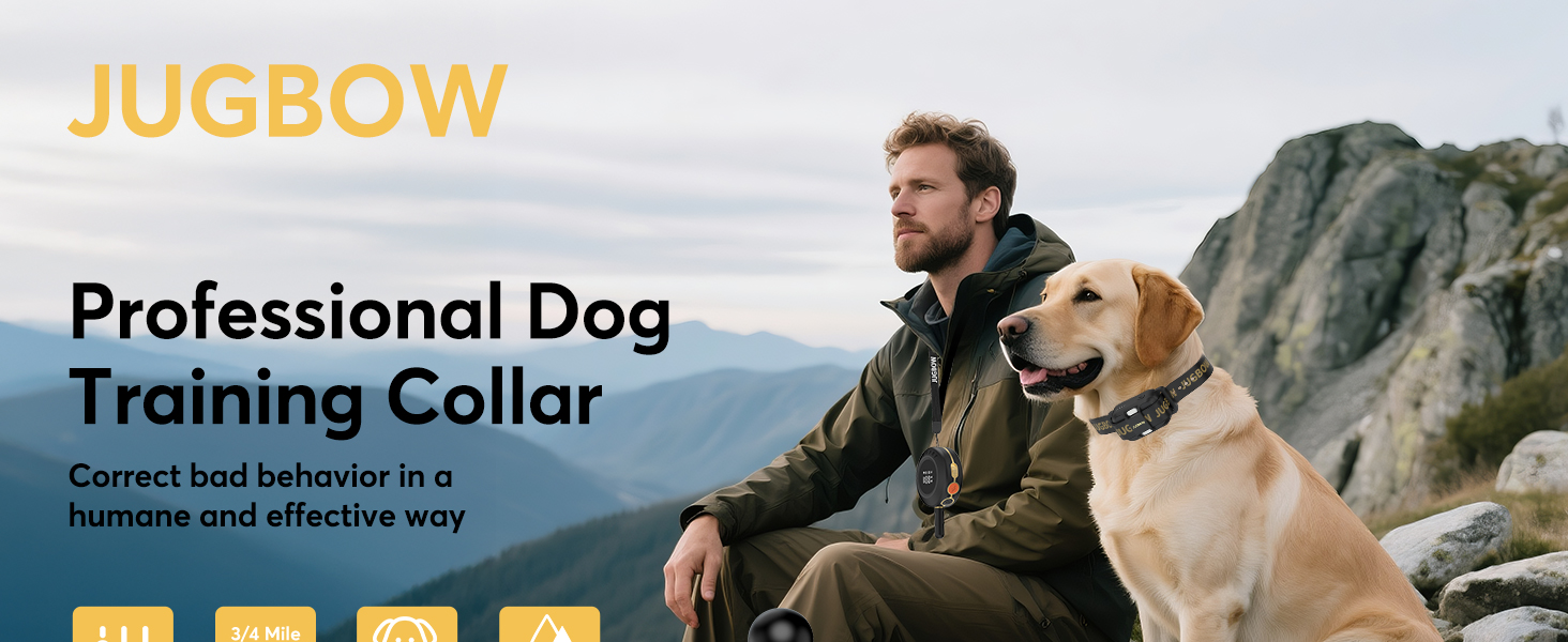 Dog Training Collar