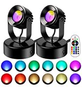 RGBW Spotlight Indoor