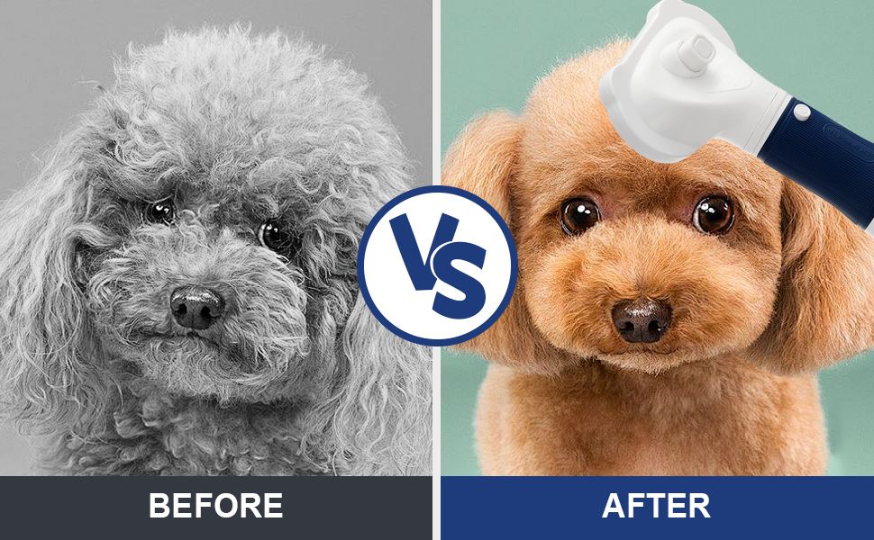 dog hair dryer dog blow dryer blow dryer with comb dog bath brush dog grooming supplies