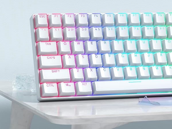 OEM KEYCAPS