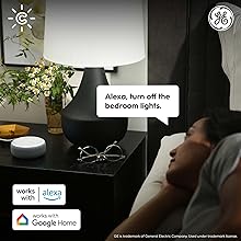 voice control