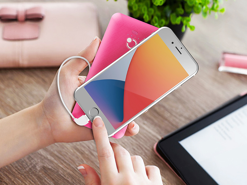 power bank with cable