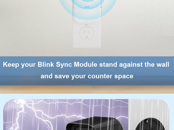 blink sync module mount XR blink camera mount