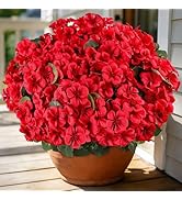AmberFun Artificial Geraniums Flowers for Outdoors, 6 Bundles Realistic Silk Fake Red Geranium, N...