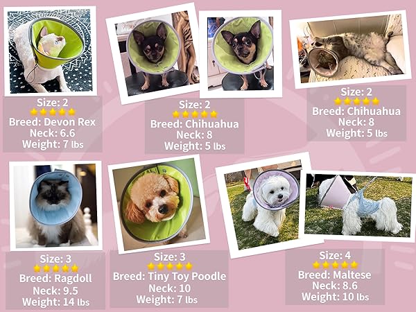 soft cat cone collar