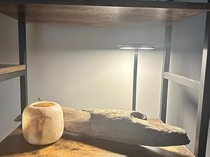 table light