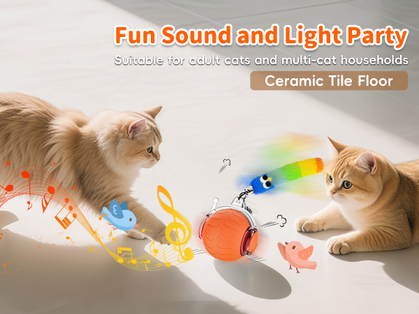 interactive cat ball toys for indoor cats