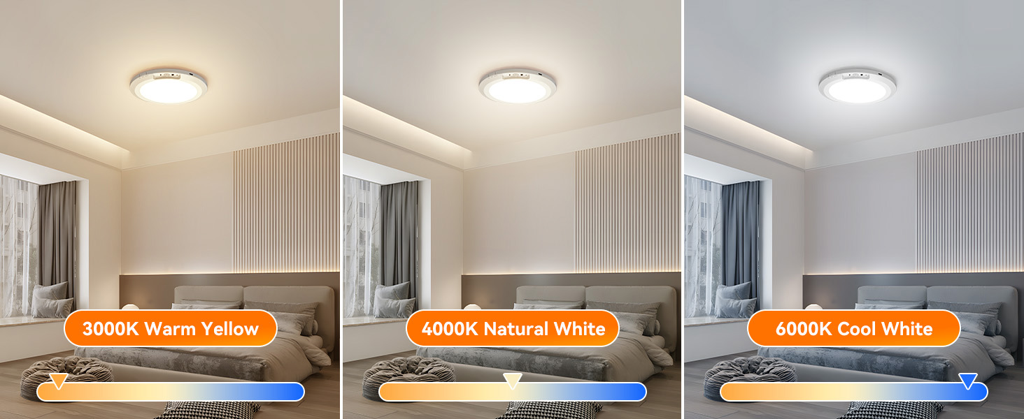 Motion Sensor Ceiling Light