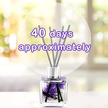 reed diffuser