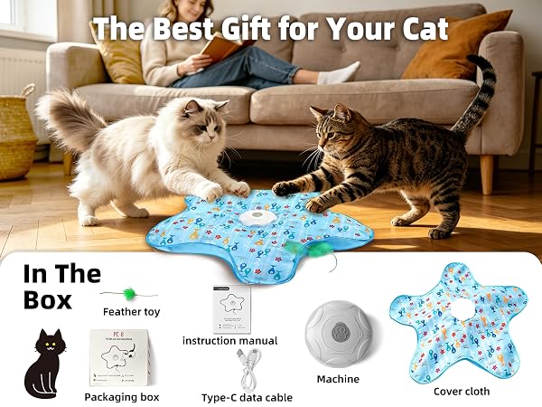 Interactive Cat Toy, Peek-a-Boo Series – Hidden Feather Wand, Rechargeable Indoor Hunting Toy