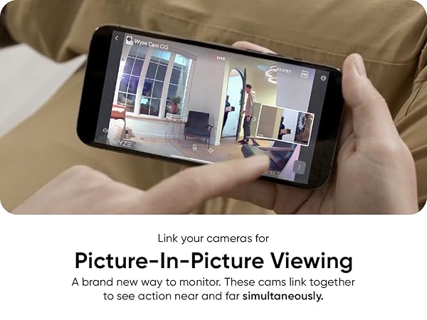 Wyze Cam OG Picture In Picture
