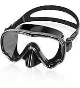 EverSport Swim Goggles Adult with Nose Cover, Clear Diving Mask Wide View No Blurring for Men Wom...