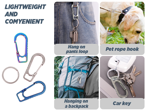 Titanium Heavy Duty Keychain Carabiner