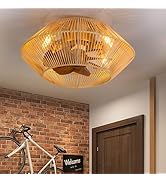 ZYD 19" Caged Ceiling Fan with Remote, Boho Rattan Enclosed Ceiling Fan with Light, Quiet DC Moto...
