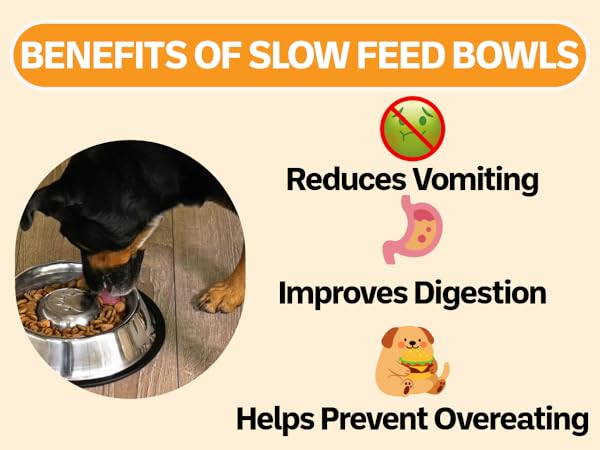 Benefits of using a slow feed bowl
