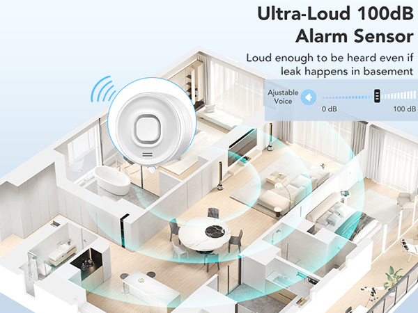 Smart Water Leak Detector Compatible with Alexa/Google Home