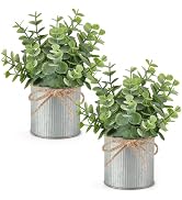 Mkono 2 Packs Small Fake Plants in Farmhouse Galvanized Pots Table Centerpiece Mini Faux Eucalypt...