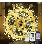 Dailyart Fairy Lights Plug in, 1000 Led Fairy Lights with Remote 75Ft Warm Light with Timer Long ...