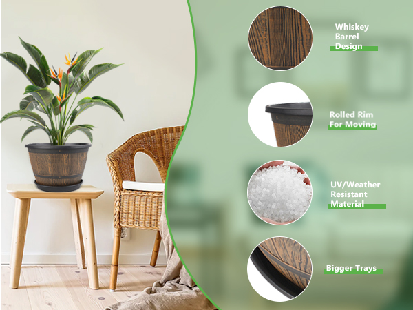 whiskey barrel plant pots 2