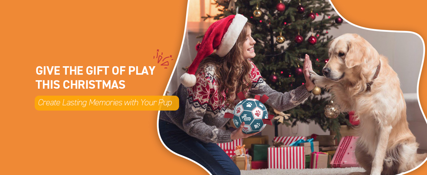Best gifts for dogs