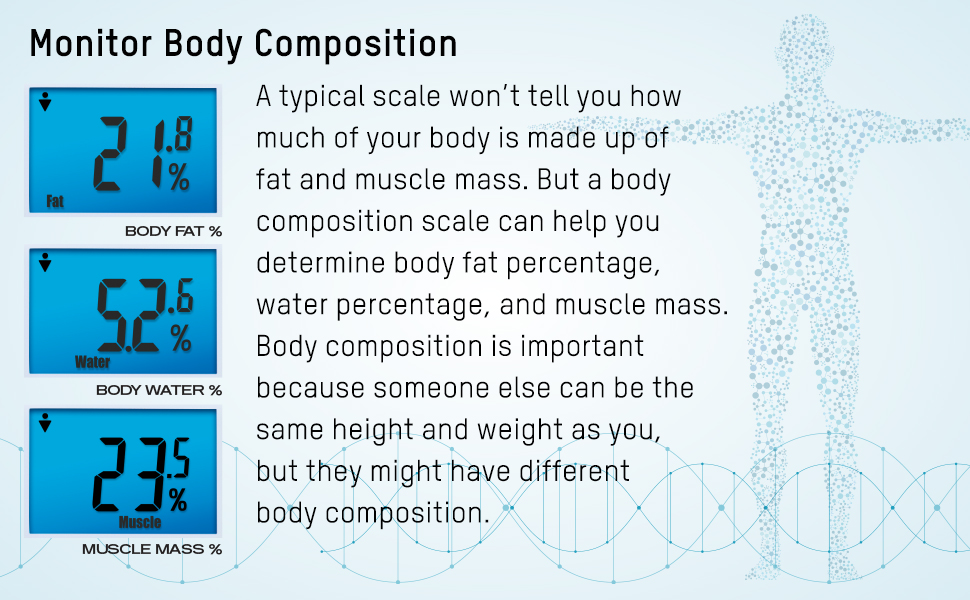Body Composition Features