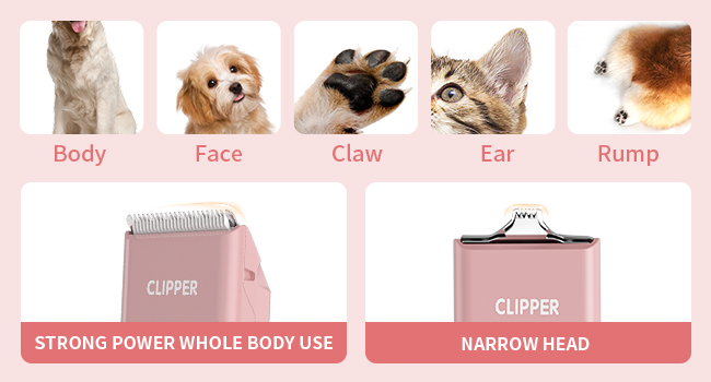 dog grooming