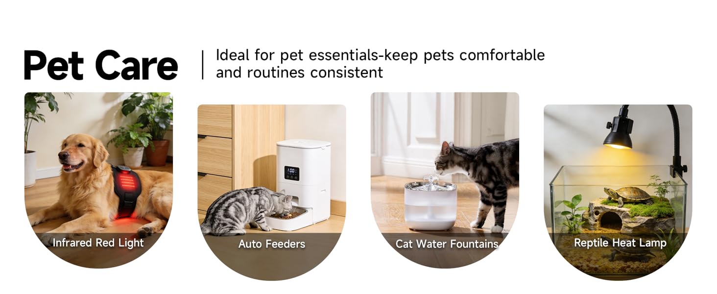Pet Care theme, Ideal for pet essentials-keep pets comfortable and routines consistent