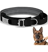 BINGPET Personalized Tactical Dog Collar with Engraved Name Plate and Patches,Adjustable Military...