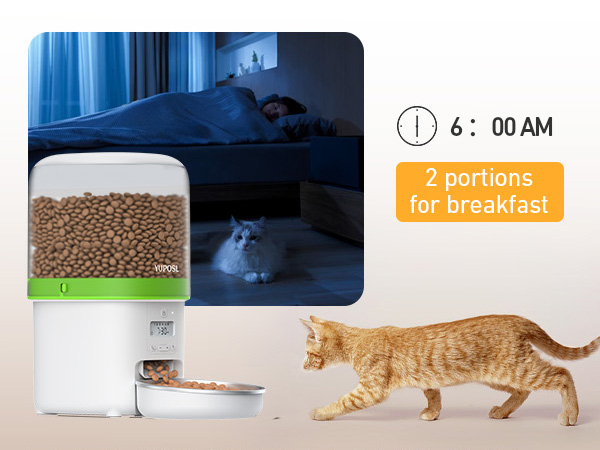 automatic cat feeder automatic cat food dispenser