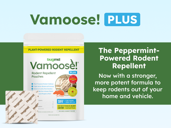 BugMD Vamoose! Plus peppermint-powered rodent repellent pouches, safe for home and vehicle.