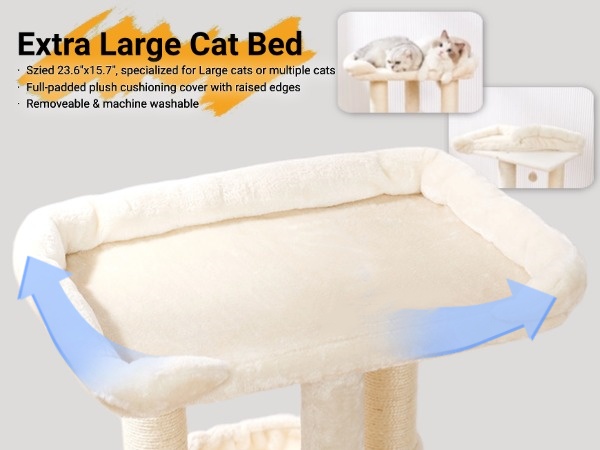 cat perch
