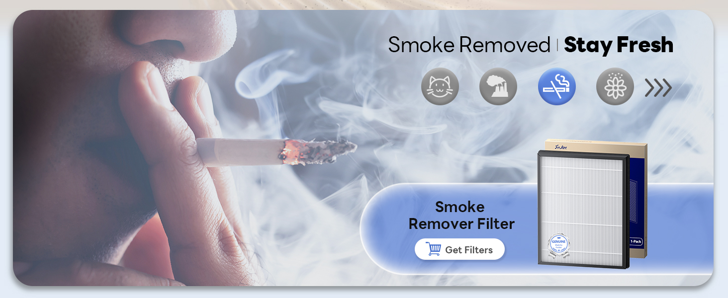 air purifier