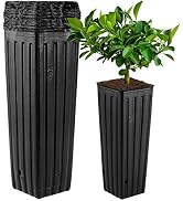 DOITOOL 50Pcs Plastic Deep Plant Nursery Pots, 11.2" Tall Tree Pot Black Seedling Treepots Flower...