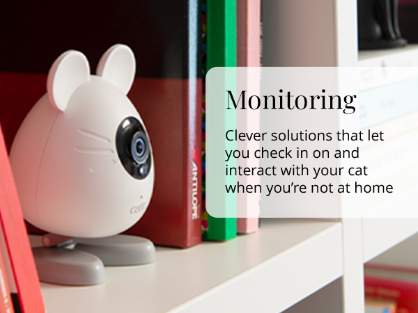 Monitoring