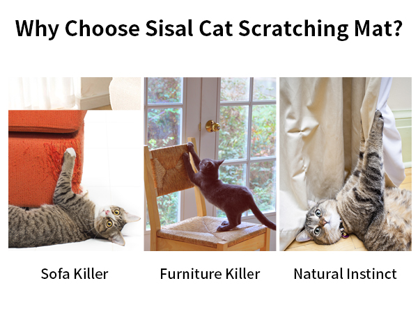 scratch mat cat scratcher wall cat scratching pads for indoor cats scratching board cat scratch pad