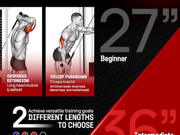 Tricep Rope