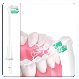 Reva Water Flosser