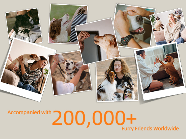 More than 200000 Users