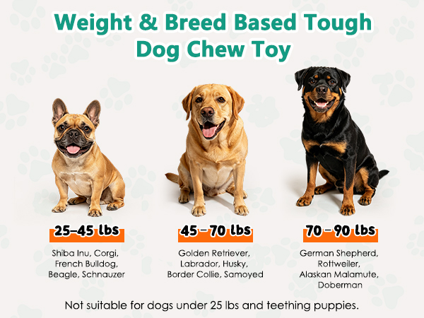 large dog toys