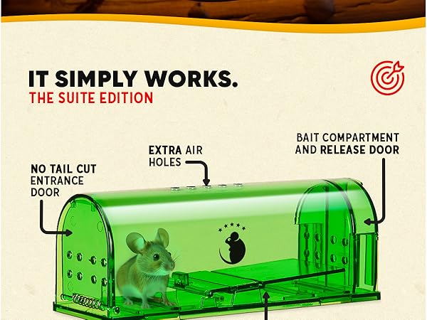 Humane Mouse Traps