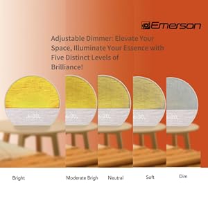 5 LED dimmer levels