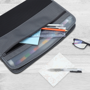 Accordian File Folder