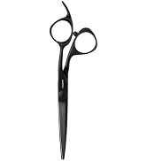 Fromm Dare 5.75" 1-Piece Precision Slide and Point Hair Cutting Shears with Semi-Convex Blade for...