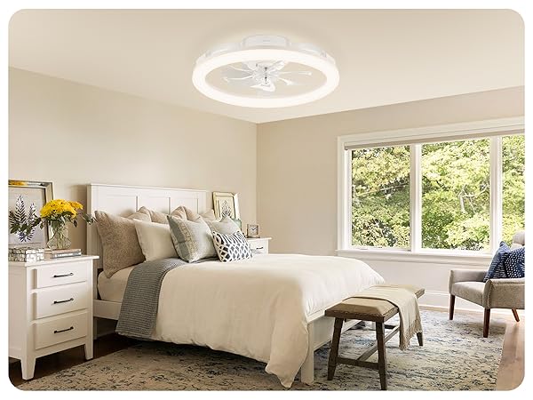 Living Room Ceiling Fan