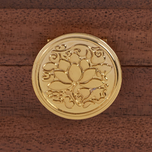 Brass handle