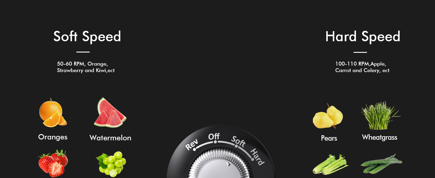 SiFENE Masticating Juicer Classic 3009- fits fruits and vegetables such as oranges, wheatgrass, pear