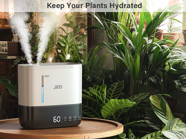 Humidifiers for Bedroom