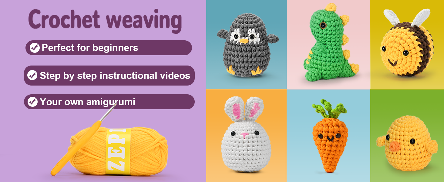 Crochet Kit for Beginners
